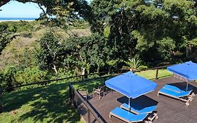 Ocean View Nature Lodge